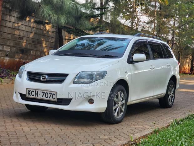 Toyota Corolla Fielder 2009 Pearl