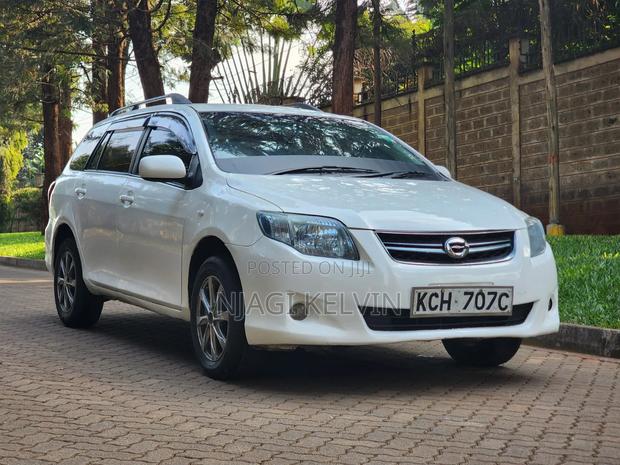 Toyota Corolla Fielder 2009 Pearl