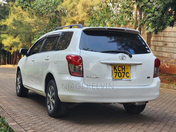 Toyota Corolla Fielder 2009 Pearl