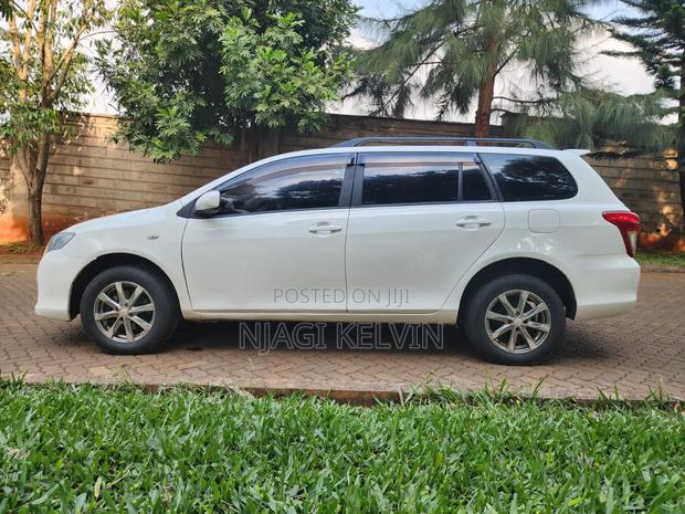 Toyota Corolla Fielder 2009 Pearl