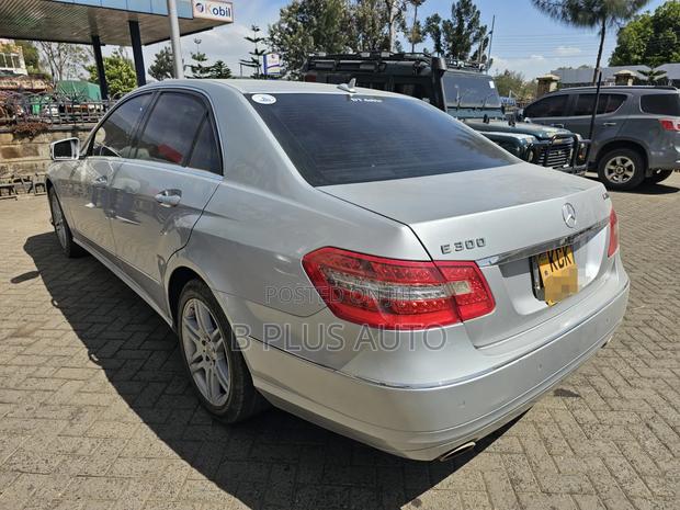 Mercedes-Benz E250 2010 Silver