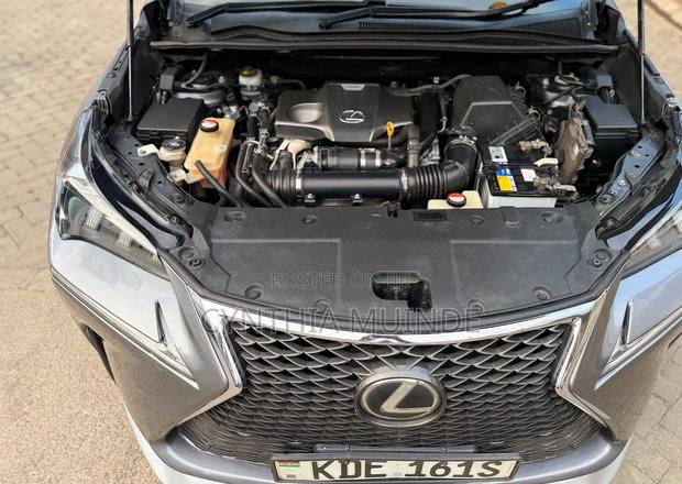 Lexus NX 2014 Gray