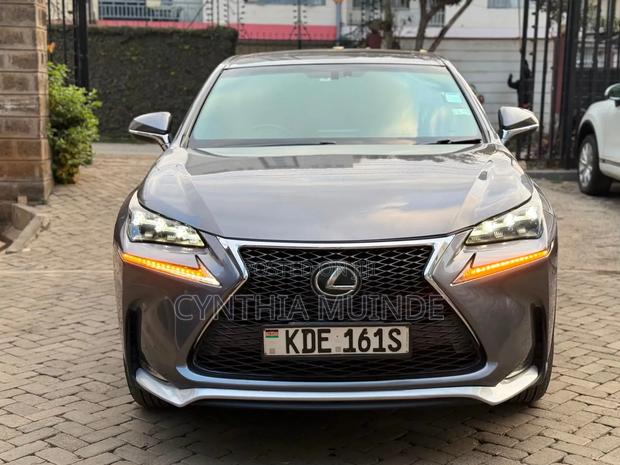 Lexus NX 2014 Gray