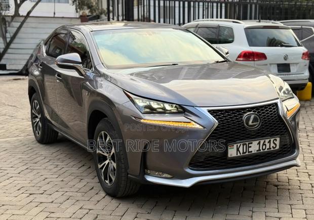 Lexus NX 2014 Gray