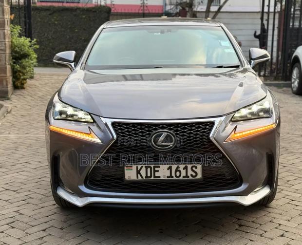 Lexus NX 2014 Gray