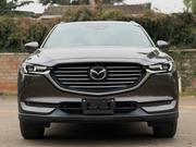 Mazda CX-8 2019 Brown for sale