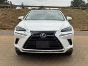 Lexus NX 2019 for sale