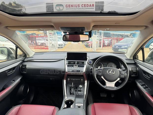 Lexus NX 2019