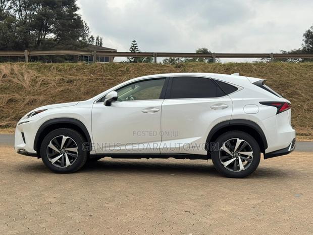 Lexus NX 2019