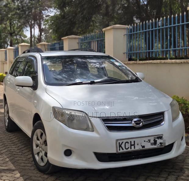 Toyota Corolla Fielder 2009 White