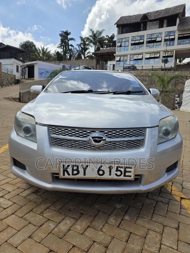 Toyota Corolla Fielder 2007 Silver