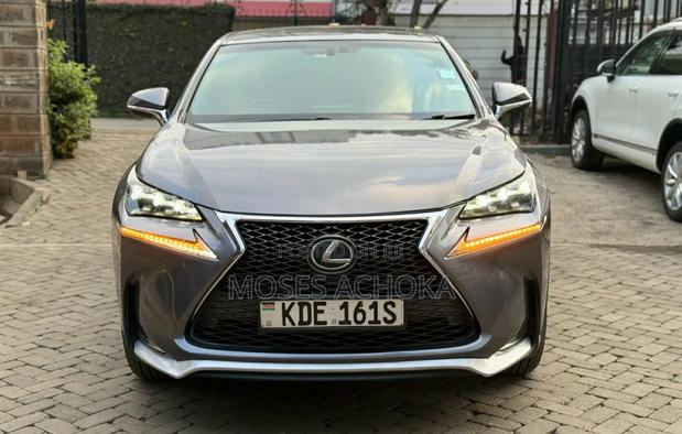 Lexus NX 2014 Gray