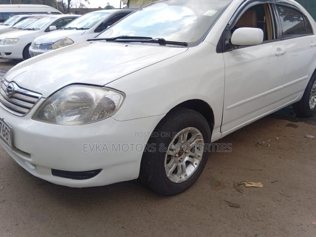 Toyota Corolla 2005 White