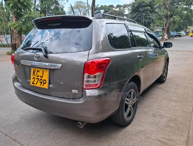 Toyota Corolla Fielder 2010 Gray