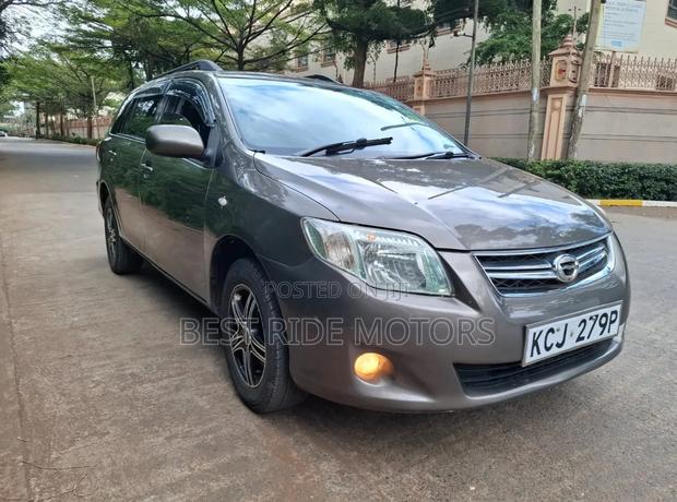 Toyota Corolla Fielder 2010 Gray