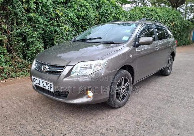 Toyota Corolla Fielder 2010 Gray