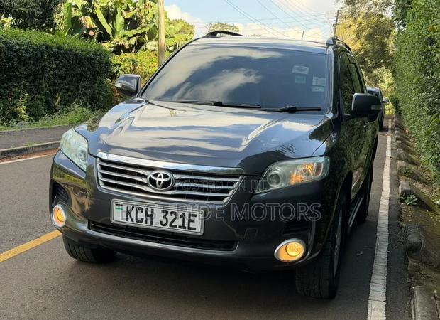 Toyota Vanguard 2009 Gray
