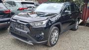 Toyota RAV4 2019 Black for sale