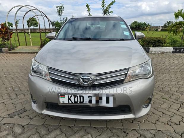 Toyota Axio 2014 Gray