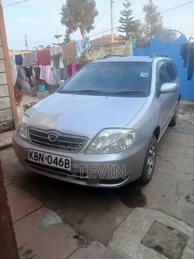 Toyota Corolla Fielder 2006 Silver