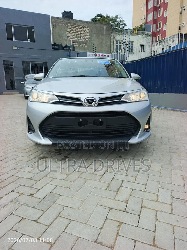 Toyota Axio 2019 Silver