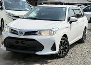 Toyota Corolla Fielder 2019 Pearl for sale