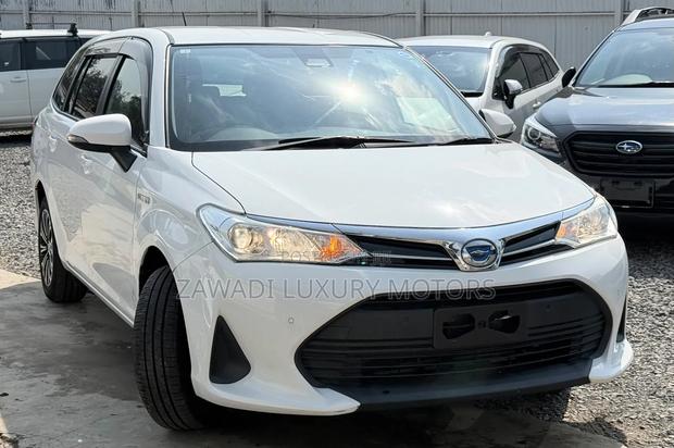 Toyota Corolla Fielder 2019 Pearl