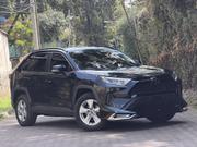 Toyota RAV4 Limited AWD 2019 Black for sale