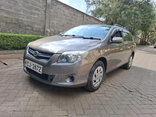 Toyota Corolla Fielder 2010 Gray