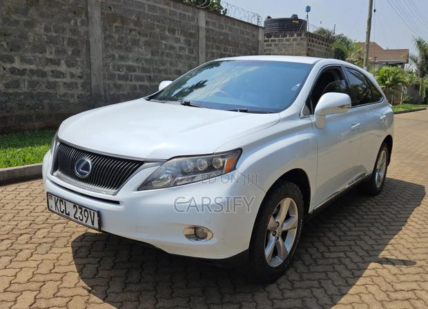 Toyota Lexcen 2010 Pearl