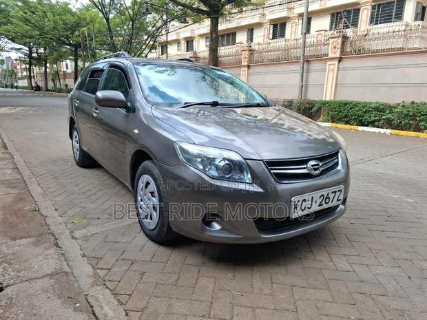 Toyota Corolla Fielder 2011 Gray
