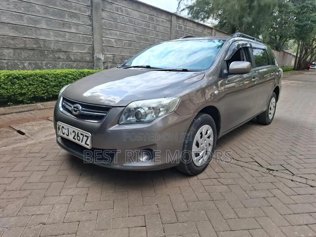 Toyota Corolla Fielder 2011 Gray