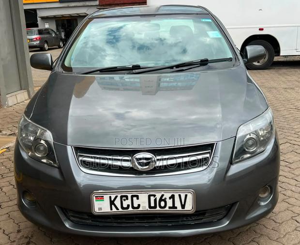Toyota Axio 2008 Gray