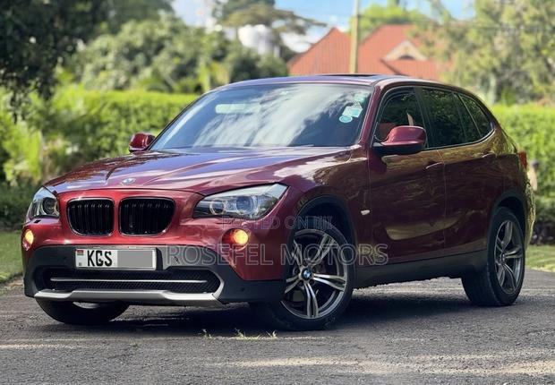BMW X1 2011 Maroon