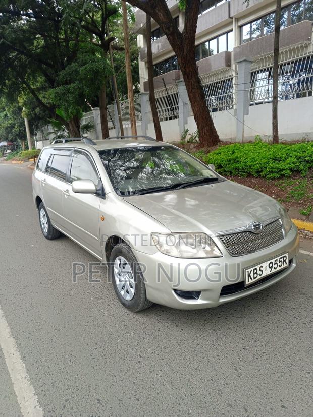 Toyota Corolla Fielder 2007 Gray