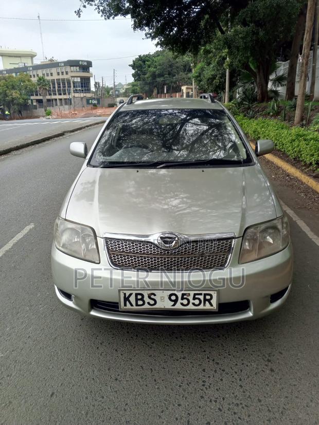 Toyota Corolla Fielder 2007 Gray