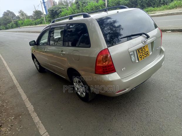 Toyota Corolla Fielder 2007 Gray