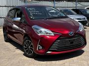 Toyota Vitz 2019 Red for sale