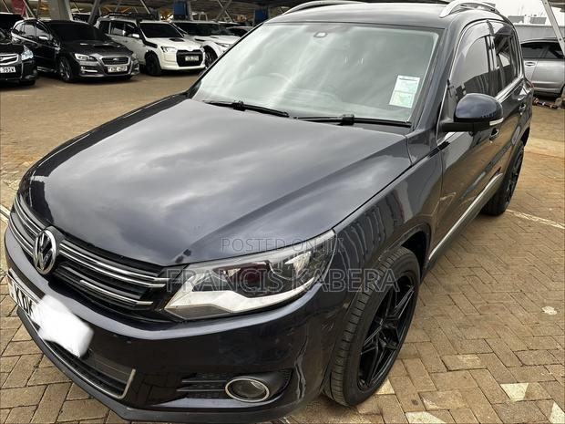 Volkswagen Tiguan 2015 Blue