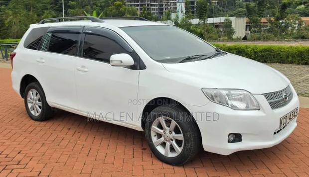 Toyota Corolla Fielder 2008 White