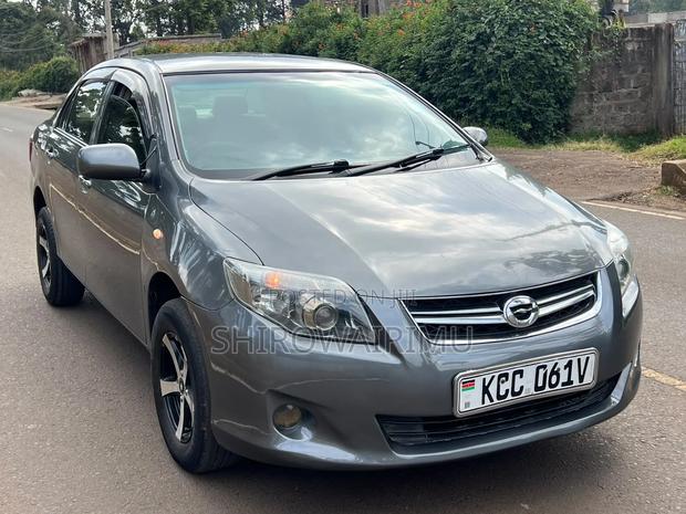Toyota Axio 2008 Gray