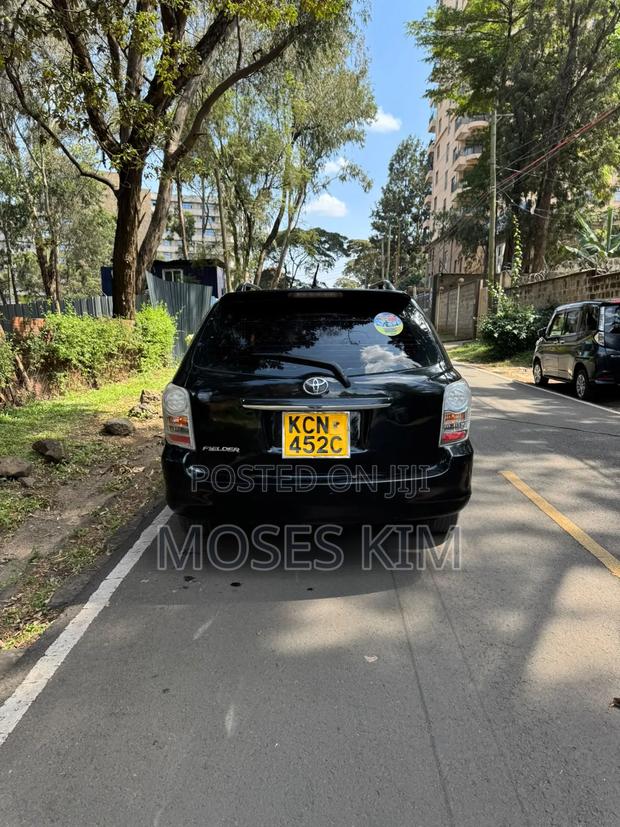 Toyota Corolla Fielder 2010 Black