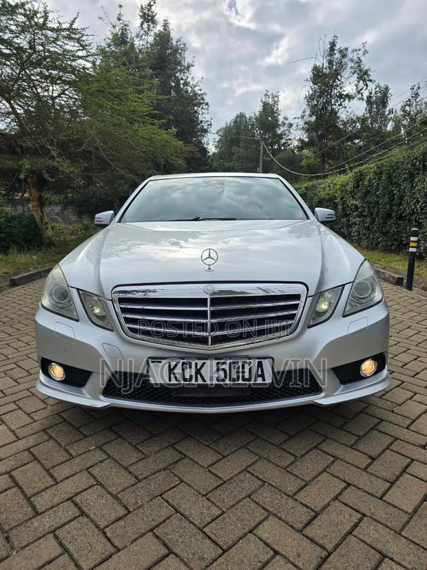 Mercedes-Benz E300 2009 Silver