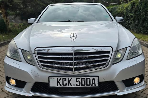 Mercedes-Benz E300 2009 Silver