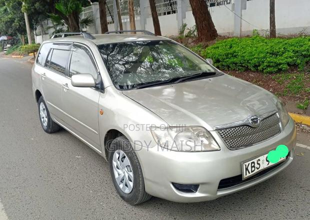 Toyota Corolla Fielder 2007 Silver