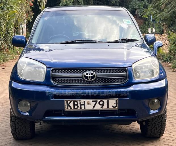 Toyota RAV4 2004 Blue
