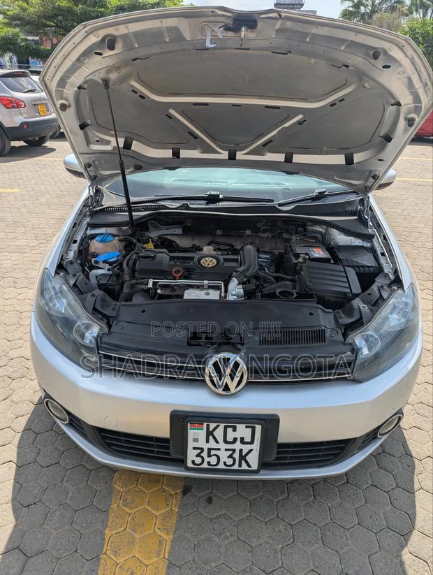 Volkswagen Golf 2010 Silver