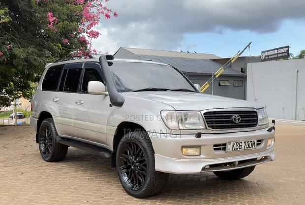 Toyota Land Cruiser 2003 Brown