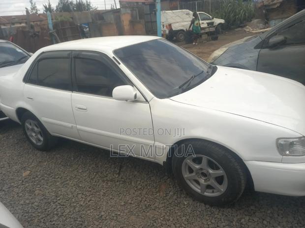 Toyota Corolla 1998 White