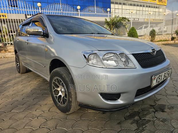 Toyota Corolla Fielder 2006 Silver